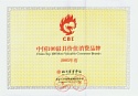 中國100最具價值消費(fèi)品牌